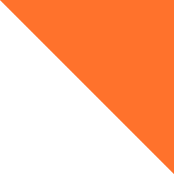 orange triangle